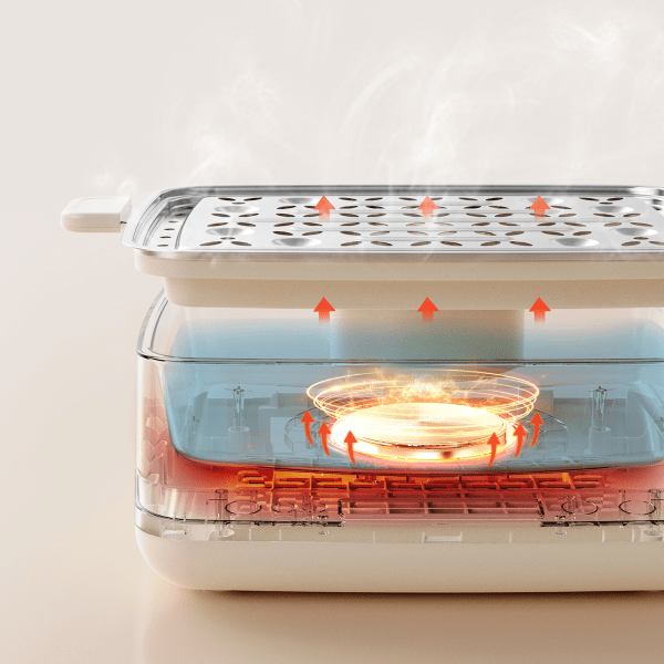 Nồi hấp điện 3 tầng 12L Bear DZG-CA2G2 - Ảnh 8